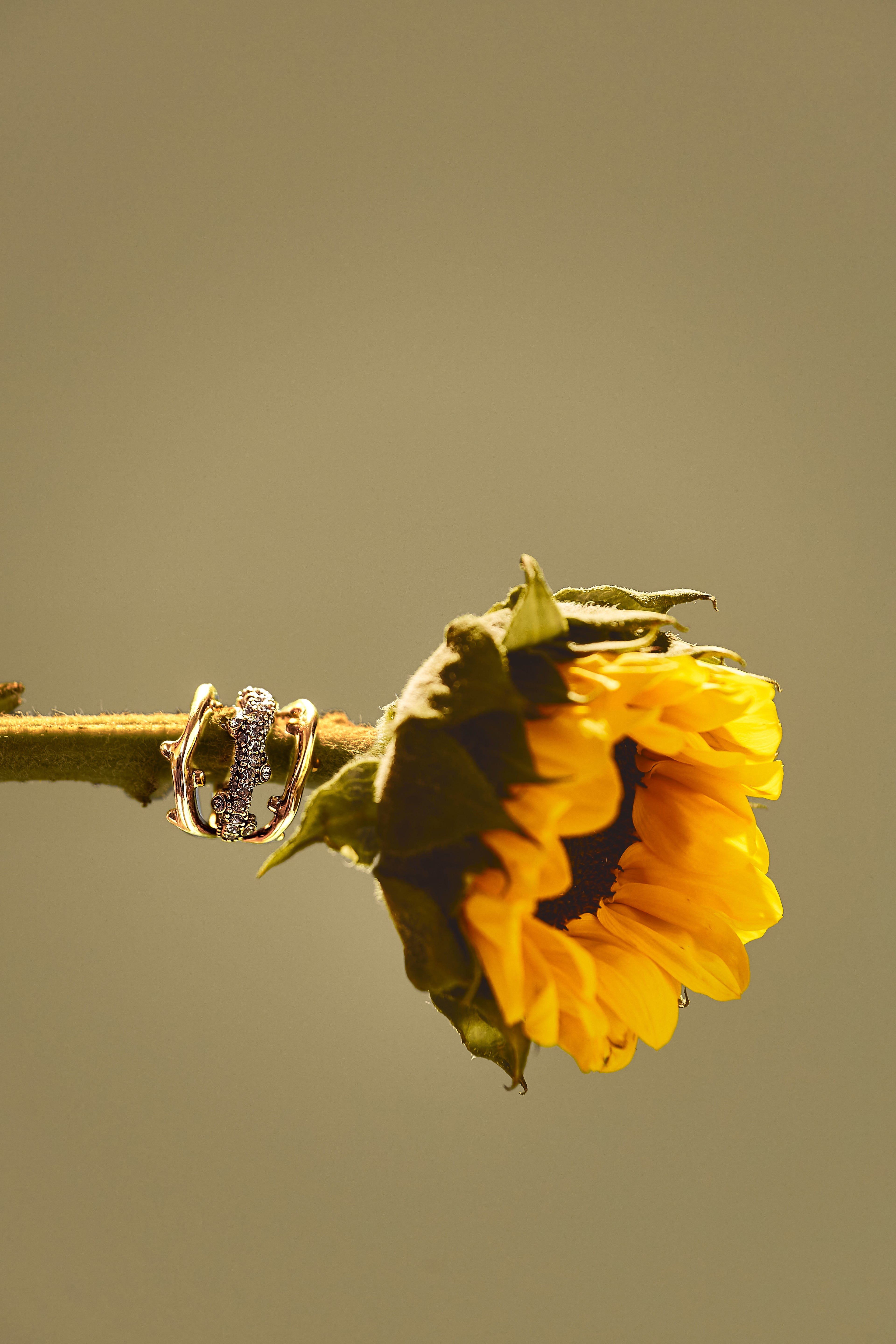 ANEL GIRASSOL TRIPLO CAULE OURO