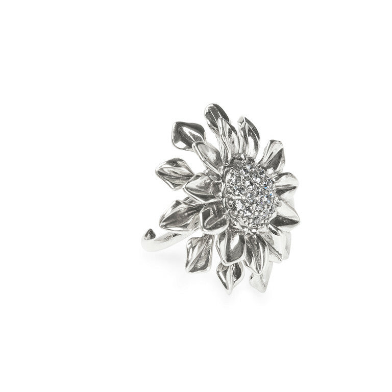 ANEL FLORESCER DO SERTÃO MINI MÉDIO DUPLO PRATA