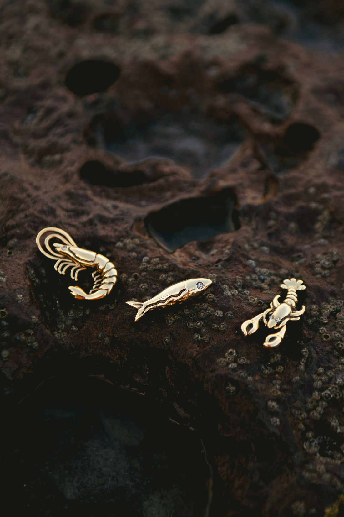 PIN GINGA DO MAR CAMARÃO OURO