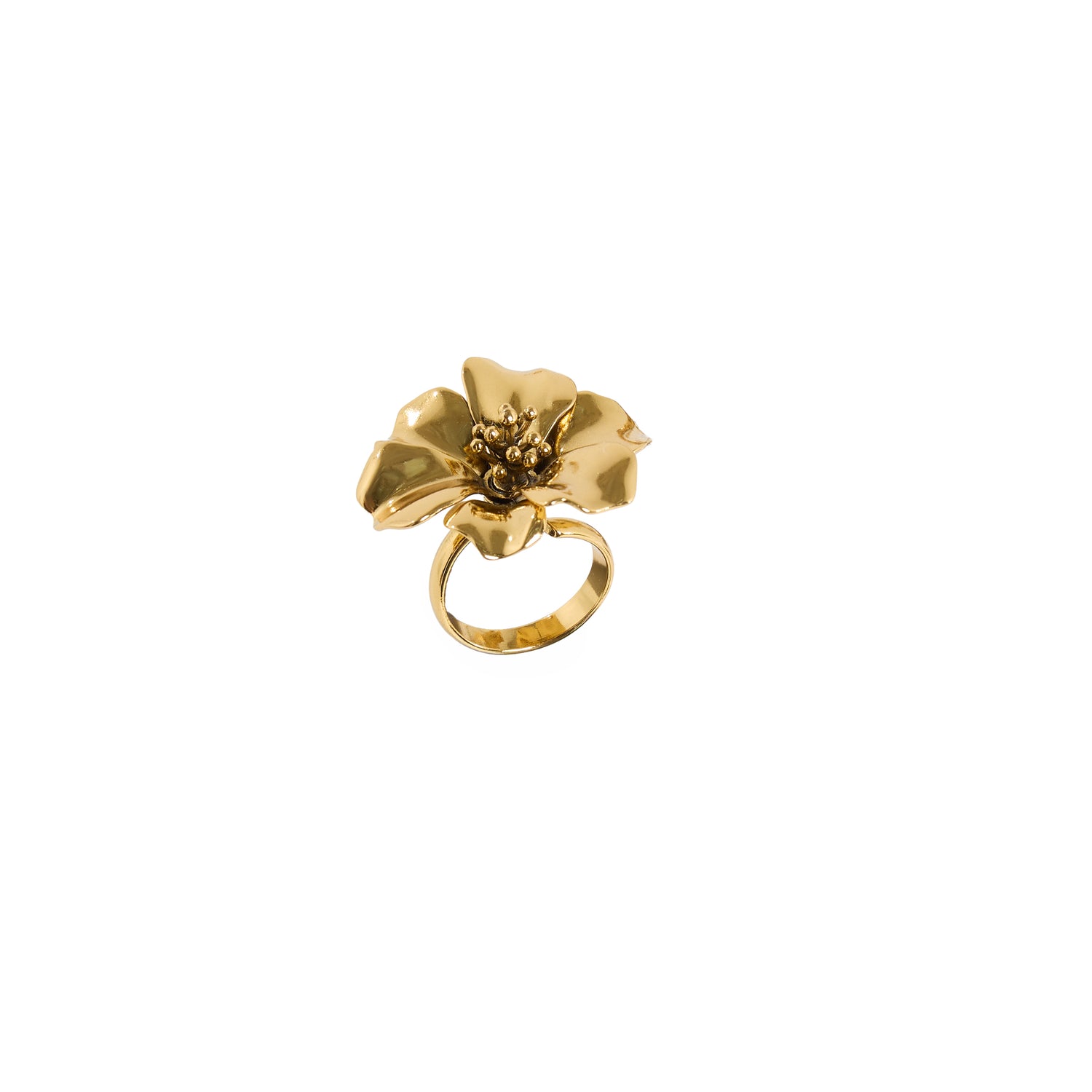ANEL HIBISCO M POLIDO OURO